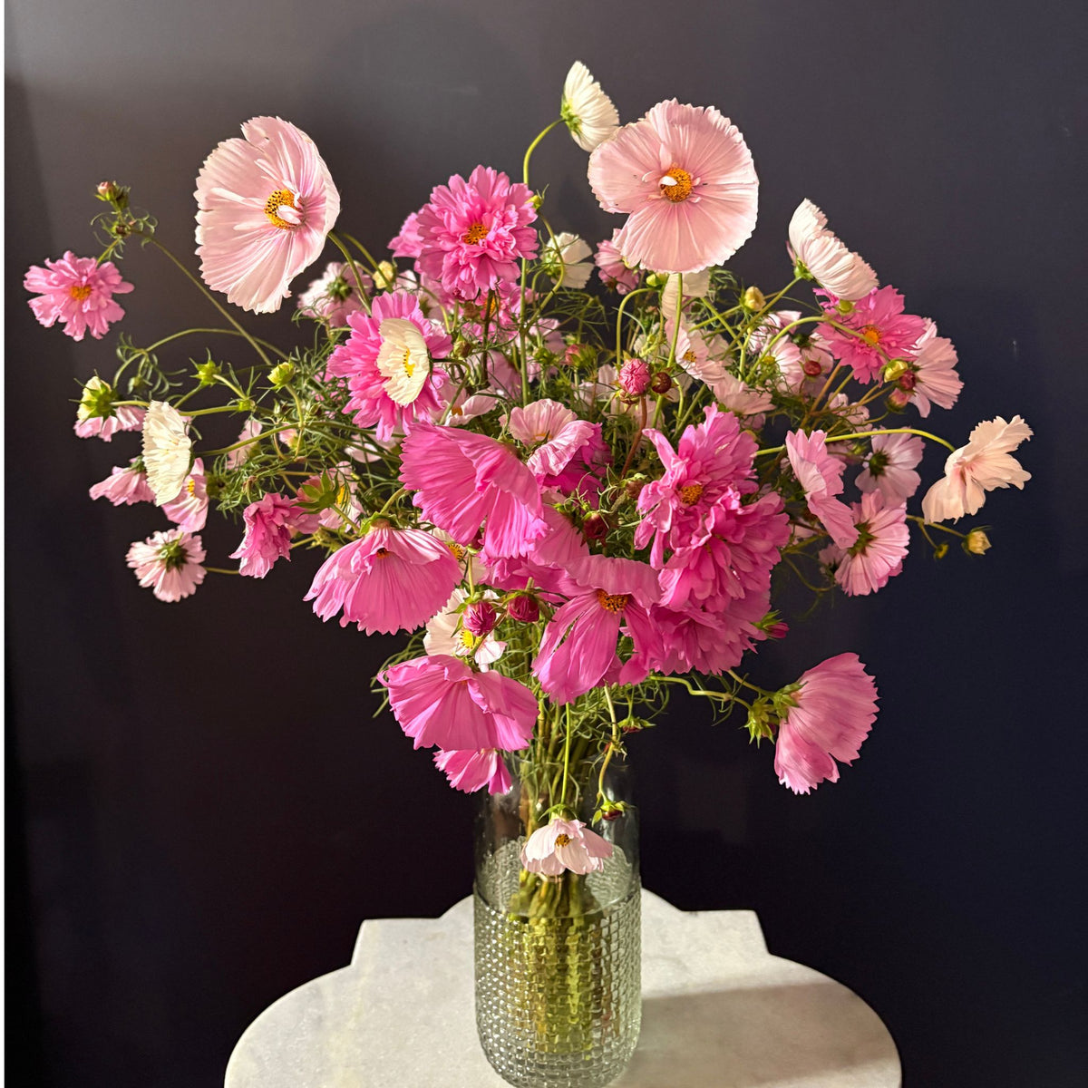 A vibrant bouquet of pink cosmos flowers arranged in a textured clear glass vase, set on a white stone pedestal against a navy background.